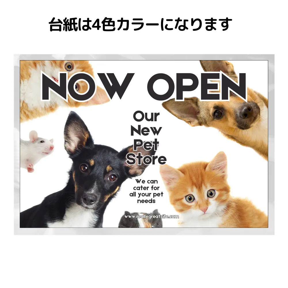 オリジナルカイロレギュラーエコ 貼らないタイプ(デザイン台紙封入)【単価41円税込】【5000個】